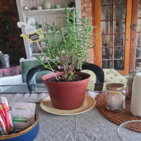 Milk and Honey Guesthouse